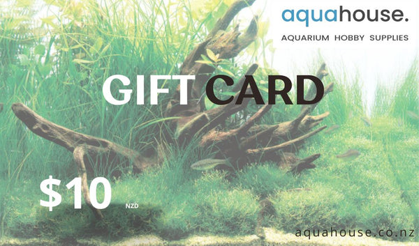 AQUA HOUSE Gift Card