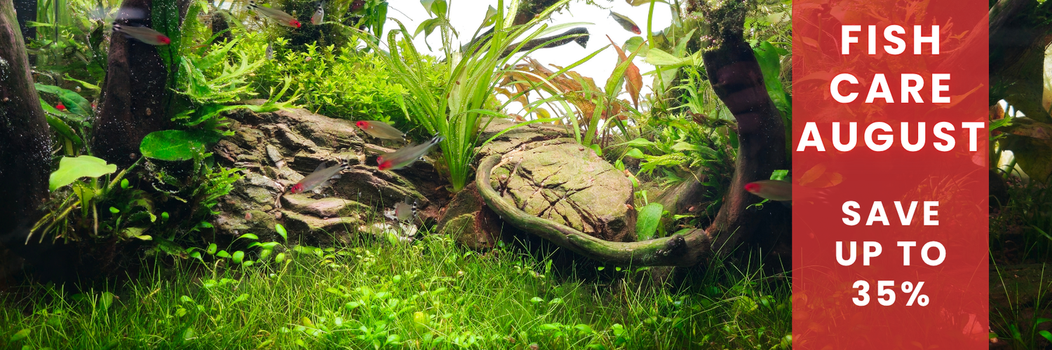 Aquarium with fish and plants, promotional banner on the right.