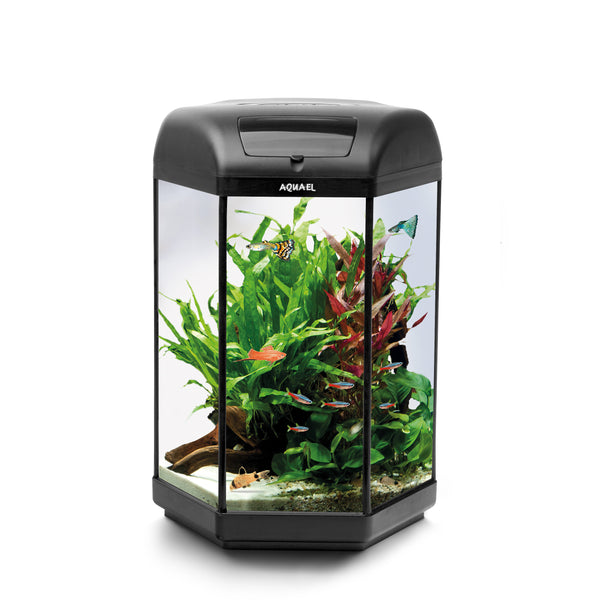 AQUAEL Aquarium HEXA Day & Night 60 Set - Black