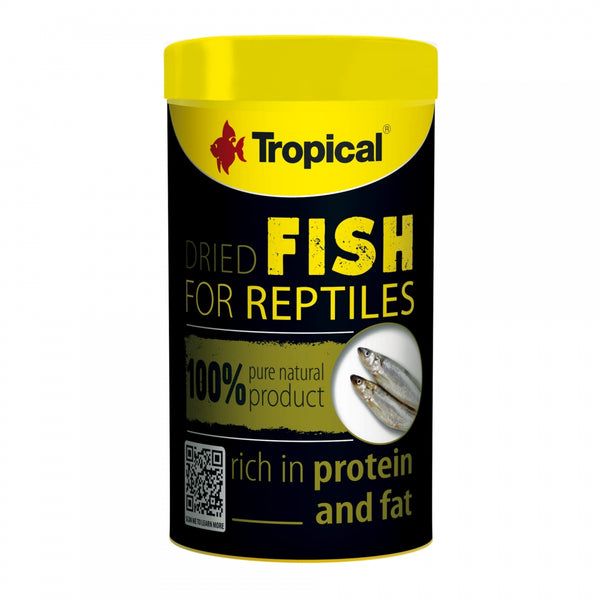 TROPICAL Dried Fish