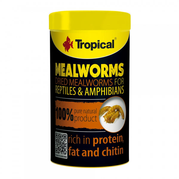 TROPICAL Meal Worms