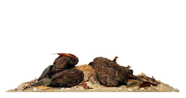 WIO Rivulet River Kit