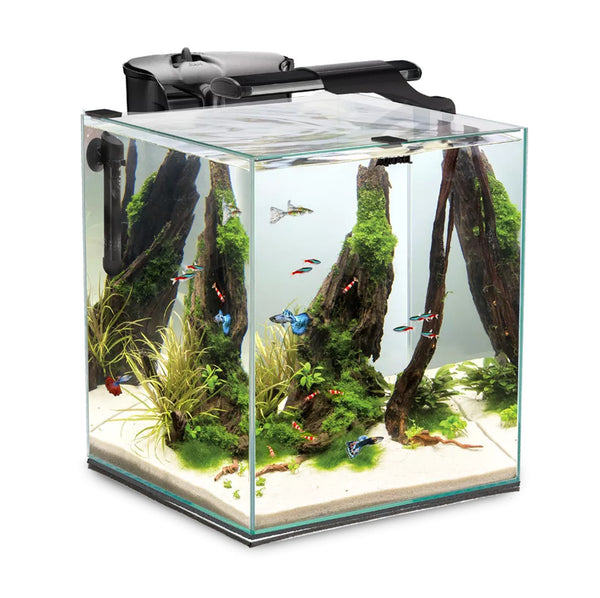 Aquarium Sets – Aqua House